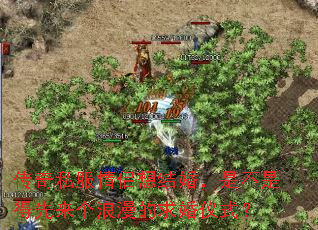 ����˽���������飬�ǲ��ǵ������������������ʽ��