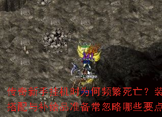 �������ֹһ�ʱΪ��Ƶ��������װ�������벹��Ʒ׼����������ЩҪ�㣿