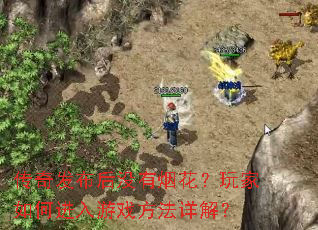 ���淢����û���̻��������ν�����Ϸ������⣿