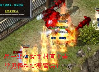 ��һ������ִ�����Щ����������Ҫ���裿