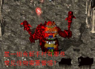 ��һ������ִ�����Щ����������Ҫ���裿