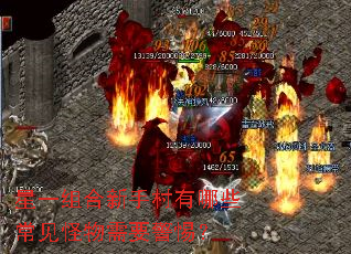 ��һ������ִ�����Щ����������Ҫ���裿