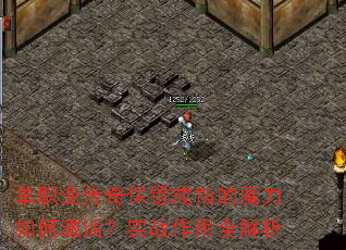 ��ְҵ���汣�ڽ�ָ��ħ����μ��ʵս����ȫ����