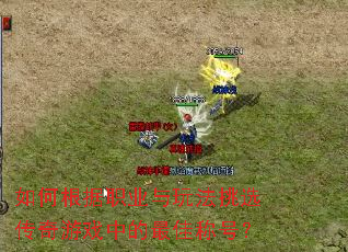 ��θ���ְҵ���淨��ѡ������Ϸ�е���ѳƺţ�
