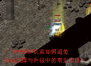 1.76����SF�����α���װ��ѡ���������еĳ�������