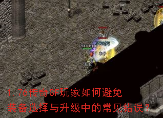 1.76����SF�����α���װ��ѡ���������еĳ�������