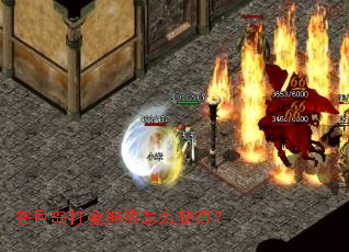 ���µ����������ô��ã�
