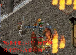 �뻻��ְҵ�𣿴�����Ϸȫְҵ����ָ�ϣ�