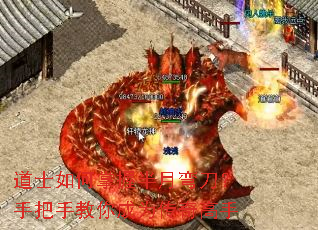 ��ʿ������հ����䵶���ְ��ֽ����Ϊ�������