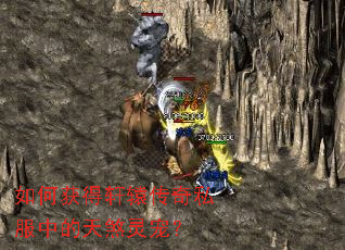 ��λ����ԯ����˽���е���ɷ��裿