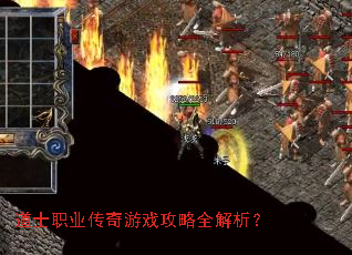 ��ʿְҵ������Ϸ����ȫ������