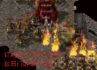 ����è���ڸ��Ŵ�������ŵ��ĸ�λ�ã�