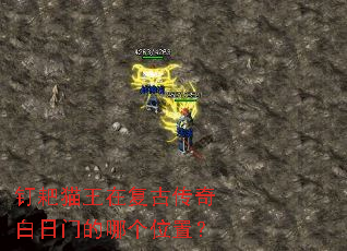 ����è���ڸ��Ŵ�������ŵ��ĸ�λ�ã�