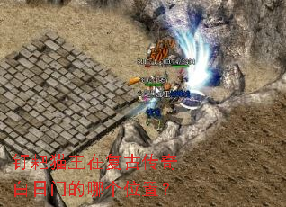 ����è���ڸ��Ŵ�������ŵ��ĸ�λ�ã�