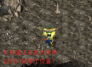 ����è���ڸ��Ŵ�������ŵ��ĸ�λ�ã�