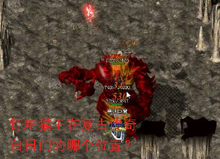 ����è���ڸ��Ŵ�������ŵ��ĸ�λ�ã�