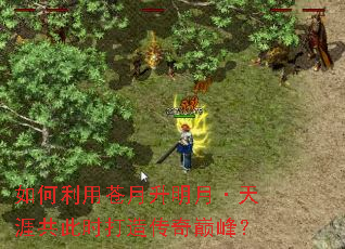 ������ò��������¡����Ĺ���ʱ���촫���۷壿