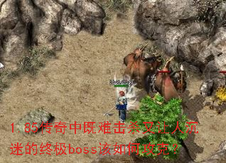 1.85�����м��ѻ�ɱ�����˳��Ե��ռ�boss����ι��ˣ�