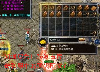 ��γ�Ϊ1.76���Ŵ���˽���еĶ�����ң�