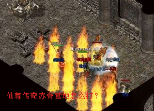 ������༹Ӫ����ô��