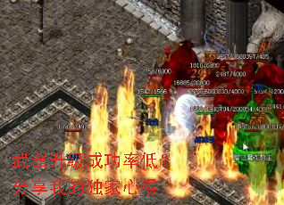 ���������ɹ��ʵͣ������ҵĶ����ĵ�