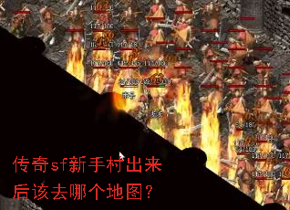 ����sf���ִ�������ȥ�ĸ���ͼ��