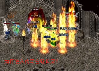 ��ν��봫�湬��ȣ�