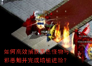 ��θ�Ч�����ɫ������а�����������ֲ���ף�