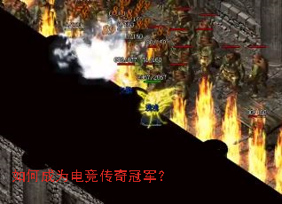��γ�Ϊ�羺����ھ���