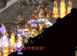 ��γ�Ϊ�羺����ھ���