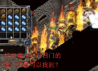 ����è���ڰ����ŵ��ĸ�λ�ÿ����ҵ���