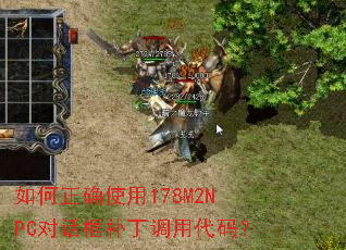 �����ȷʹ��178M2NPC�Ի��򲹶����ô��룿