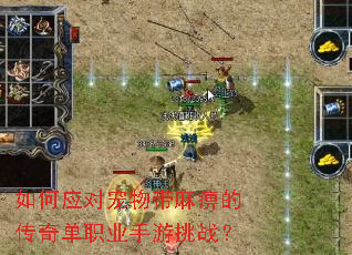 ���Ӧ�Գ������ԵĴ��浥ְҵ������ս��