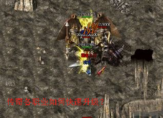 �����ְҵ��ο���������