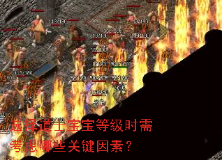 ѡ���ʿ�����ȼ�ʱ�迼����Щ�ؼ����أ�