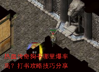 ��Ѫ���湷�����ﱬ�ʸߣ����鹥�Լ��ɷ���