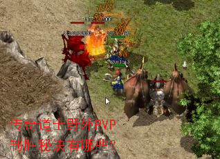 �����ʿҰ��PVP��ʤ�ؾ�����Щ��