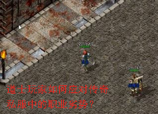 ��ʿ������Ӧ�Դ���˽���е�ְҵ���ƣ�