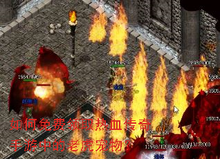 ��������ȡ��Ѫ���������е��ϻ����