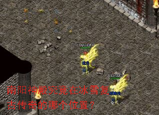 ���������ڱ�ѩ���Ŵ�����ĸ�λ�ã�