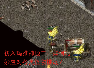 ���������������������Ӧ�Ը��������ս��