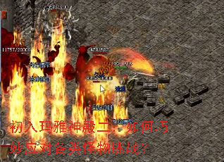 ���������������������Ӧ�Ը��������ս��