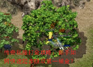 ����˽������ԣ�������ο�����׬ȡ��һͰ��