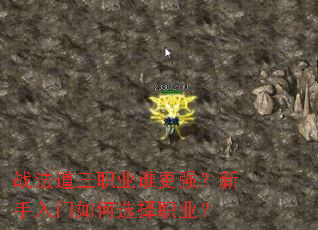 ս������ְҵ˭��ǿ�������������ѡ��ְҵ��