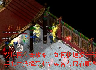 �ѹ������湥�ԣ���ο��������ȼ�����������ѡ��ְҵ��װ����ȡ����Щ���ɣ�