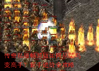 ����˽�����ΰ���δӲ������֣����ֽ���ȫ����