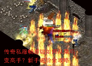 ����˽�����ΰ���δӲ������֣����ֽ���ȫ����