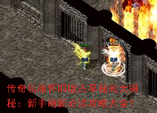 ����˽�����ɰ�������Ŵ���أ��������±ض����Դ�ȫ��