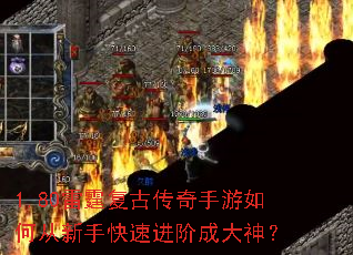1.80�������Ŵ���������δ����ֿ��ٽ��׳ɴ���