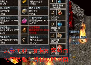 ������������ư���Ѫ����˽�����ռ�����ָ��